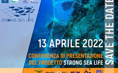 STRONG SEA LIFE Project Opening Conference