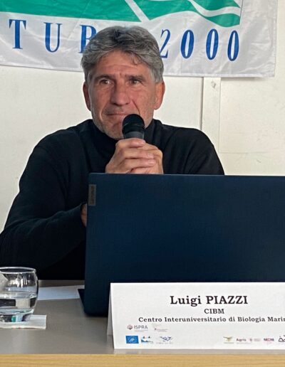 Luigi Piazzi (CIBM)