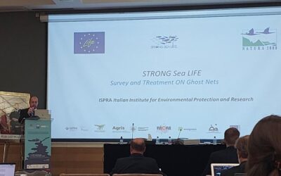 LIFE Strong Sea project presented in the 46th Session of the "Scientific Groups" of the International Maritime Organization (IMO)