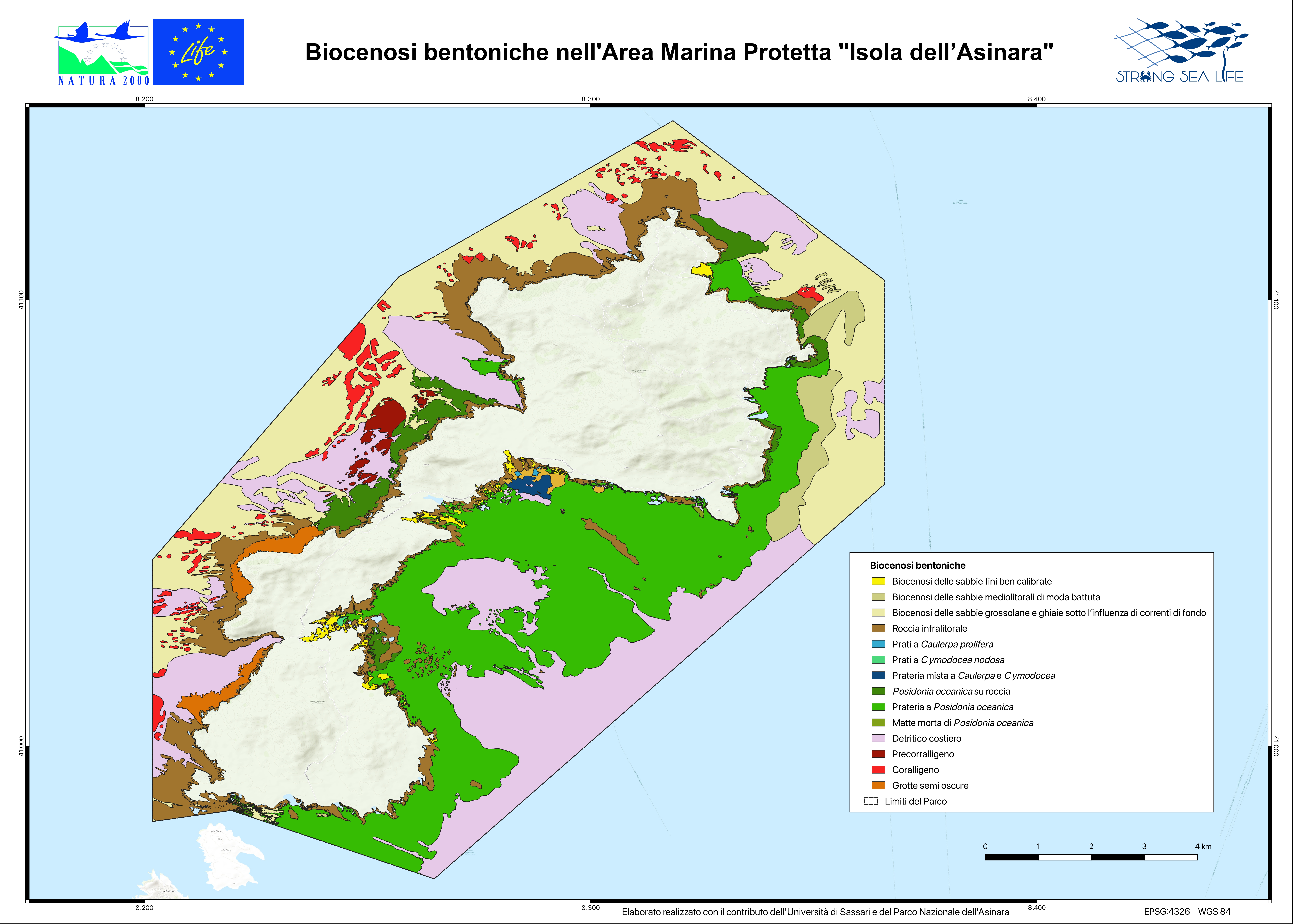 Biocenosi bentoniche nell'Area Marina Protetta "Isola dell’Asinara"