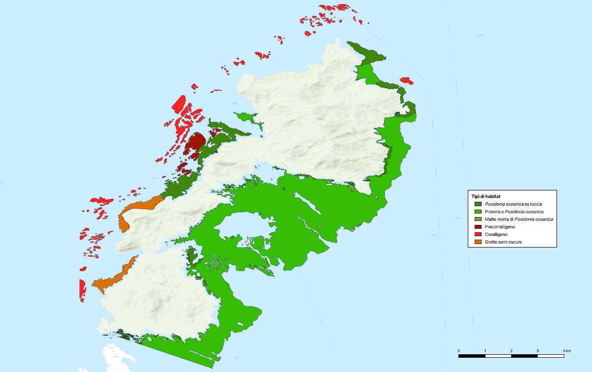 Habitat 1120* (Posidonia meadows) and Habitat 1170 (cliffs) in the "Isola dell'Asinara" Marine Protected Area