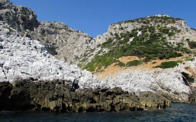 Summer school of Geomorphology, Ecology and Biology in marine and insular environments